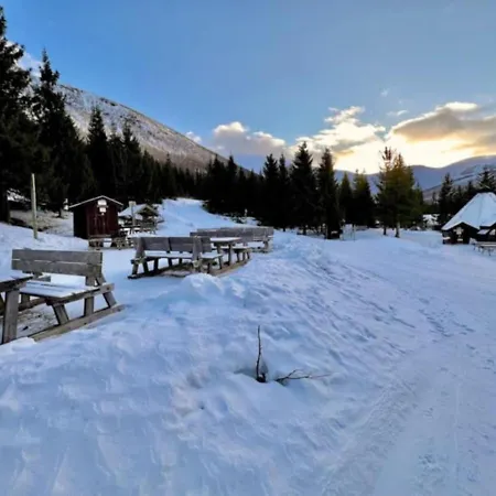 Modern Luxury Villa- Free Parking *